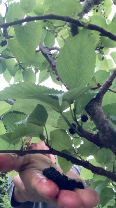 uploaded 1min https://t.co/hVeJDvaNxD