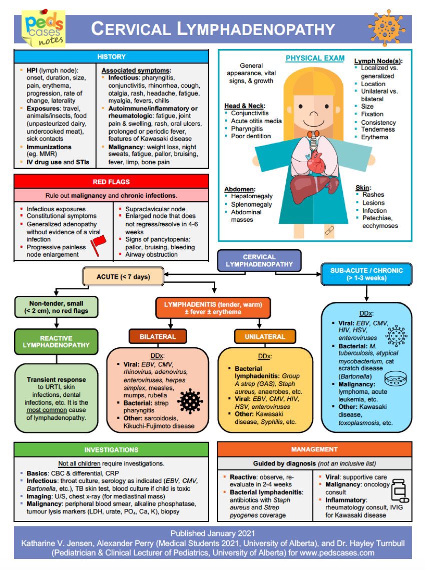 pproach to cervical lymphadenopathy

@PedsCases #MedEd #MedX #Pediatrics