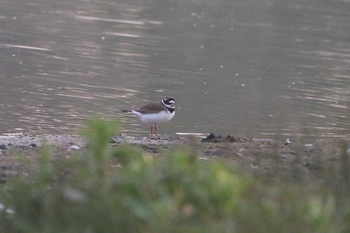 John Martin tweet media