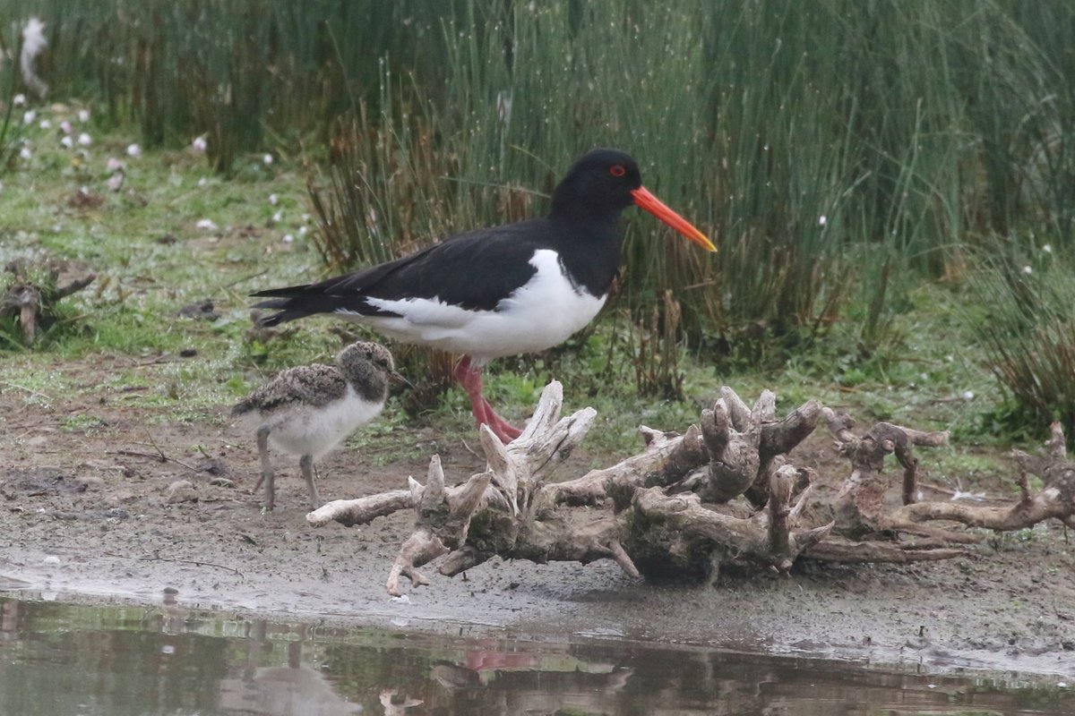 John Martin tweet media