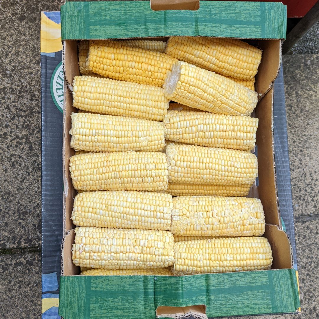 We are grateful to @ukharvest for their donations of fresh fruit and vegetables. Today they delivered sweetcorn, bananas, eggs, horseradish and beans which we will use to make meals for our residents.