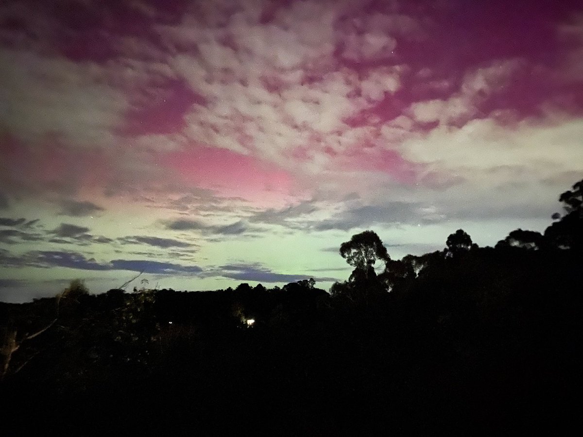 Zallen's tweet photo. A smidge of aurora across our back garden in Emerald VIC. https://t.co/GZt91cG0bg