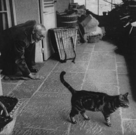 Herman Hesse tenía un gato llamado Lowe con el que jugaba habitualmente a perseguirle por la casa. Hesse gateaba por el suelo intentado sorprender con sigilo a su mascota. Nunca, sobra decirlo, lo consiguió.