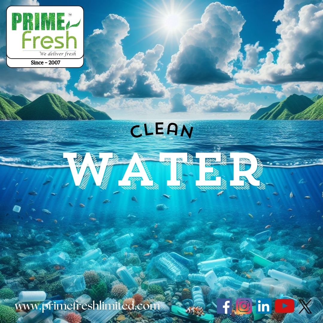 Is this the future we want for our oceans? Water pollution is a growing threat to marine life and our planet. Let's work together to keep our water clean!
primefreshlimited.com
#CleanWater #BeatPollution #PRIMEfresh™