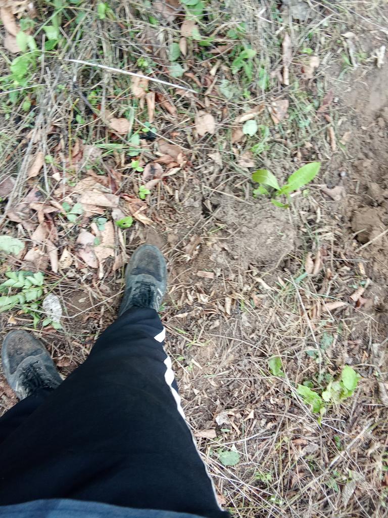 official_pell's tweet image. A day in a life of a farmer 🤭

#computerEngineer