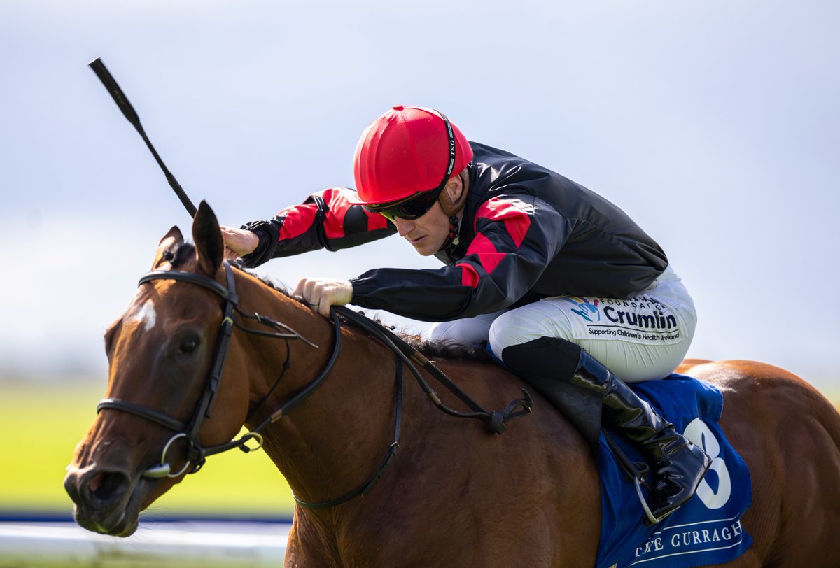 Naas Racecourse (@naasracecourse) on Twitter photo 🤩 Best of luck to our feature sponsor <a href="/alshiraaracing/">Al Shira’aa Racing Ltd</a> with their runners in France this weekend
🇫🇷 The Willie McCreery-trained Vespertilio runs in the French Classic, the Group 1 Poule d'Essai des Pouliches, tomorrow at Longchamp! 🤩 Best of luck to our feature sponsor <a href="/alshiraaracing/">Al Shira’aa Racing Ltd</a> with their runners in France this weekend
🇫🇷 The Willie McCreery-trained Vespertilio runs in the French Classic, the Group 1 Poule d'Essai des Pouliches, tomorrow at Longchamp!
