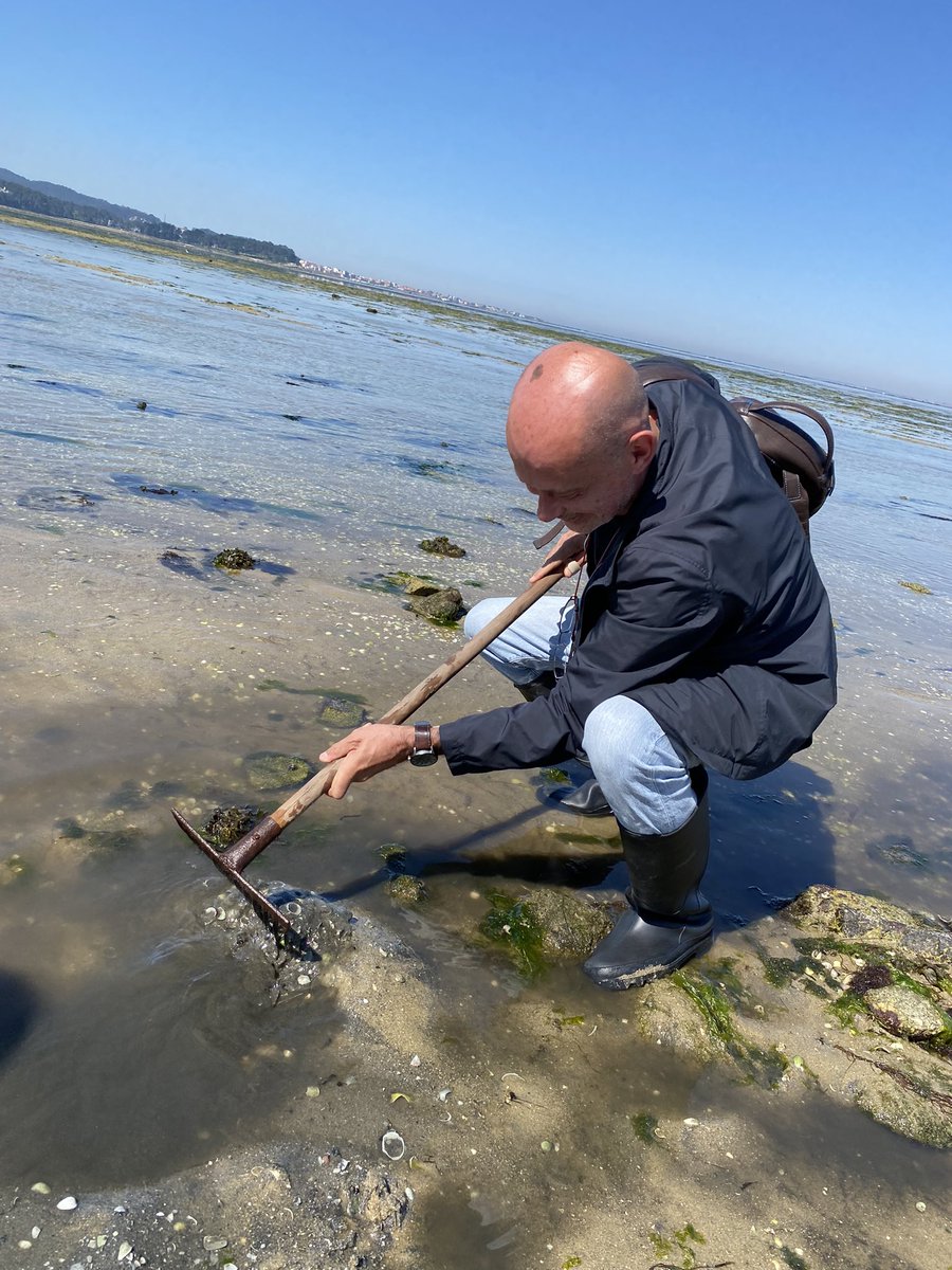 Ayer estuve marisqueando almejas en Cambados y me quedé enamorado de la cofradía de pescadores.