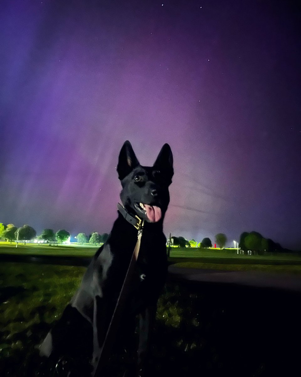 PD Shadow stopped for a photo with the northern lights last night at the end of her shift. The perks of working at night 🙌🏼