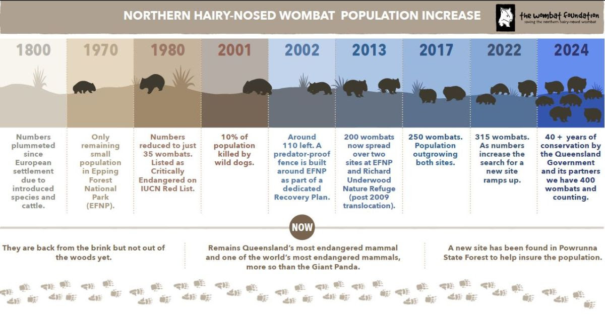 Northern Hairy-nosed #Wombat numbers have now reached 400!!