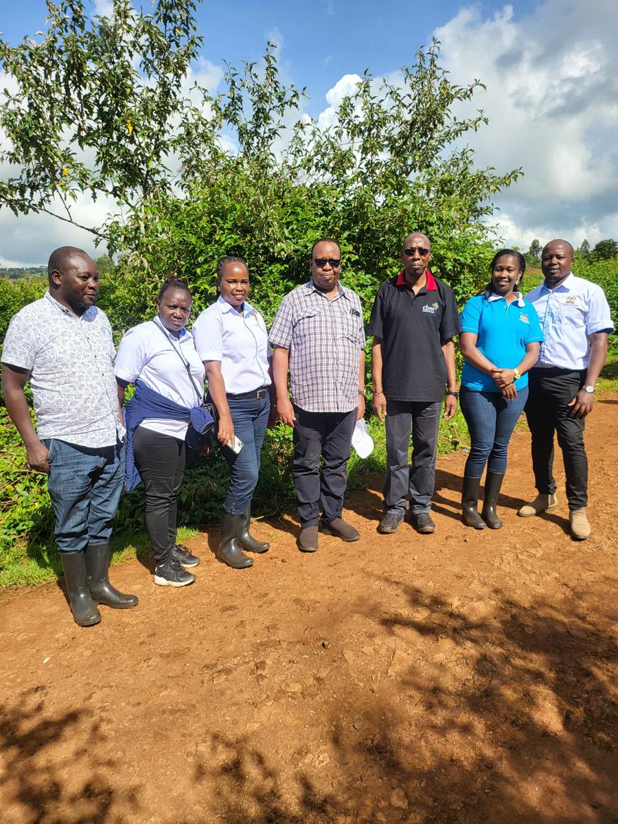 Yesterday, we celebrated #NationalTreePlantingDay at Elgeyo Marakwet, with our CEO Dr. Ogato leading the charge alongside @MTRHofficial CEO Dr. Kirwa and our dedicated staff. It was a fantastic day, as we came together to plant trees and make a #positive impact on our environment