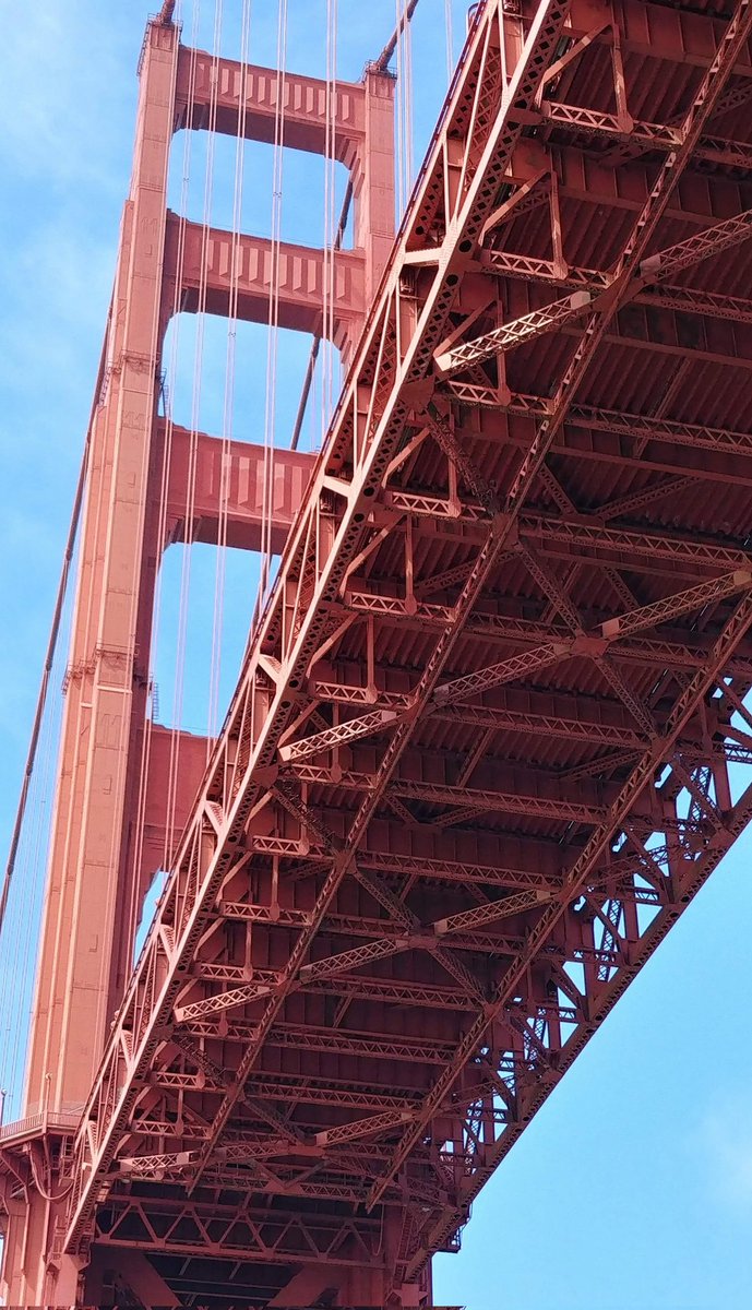 Looking up

Uncommon view of #goldengatebridge