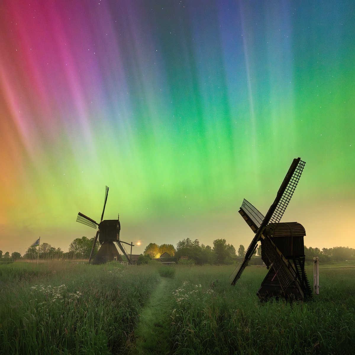 What happened last night is something that I thought was only a dream. The strongest aurora ever, above the Dutch windmills. I still can't believe this was real. Captured after midnight in The Netherlands.