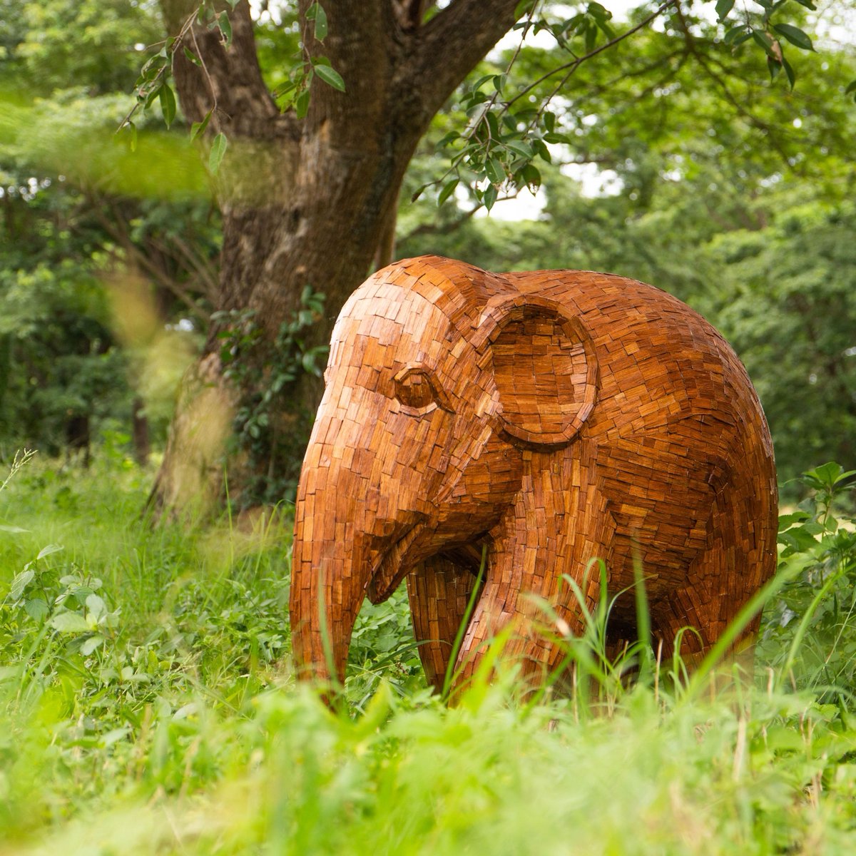 Elephant 'In the Woods' is going for a hike this Saturday. What are your plans? 🤎🌳🌿 #elephantparade #elephantstatue #handpainted #elephantparadefan⁠ #art #elephantconservation #savetheelephant