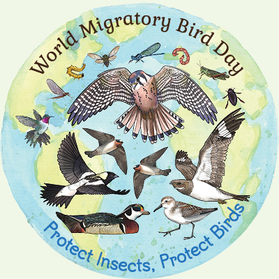 If you're visiting the Zoo today, stroll through our aviaries in support of World Migratory Bird Day! This year, the focus is on the importance of insects for migratory birds. migratorybirdday.org