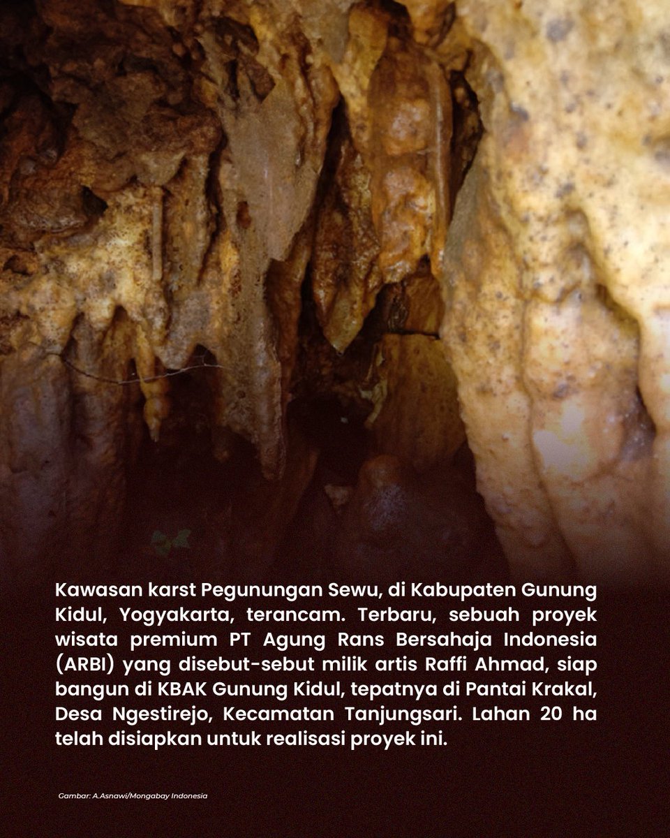 MongabayID's tweet photo. Kawasan karst Pegunungan Sewu, yang menjadi rumah bagi beragam ekosistem dan memiliki peran vital sebagai penyerap emisi karbon serta sumber air, kini dihadapkan pada ancaman serius. 
https://t.co/tbuJoL4SR3 https://t.co/tqesxvfe9v