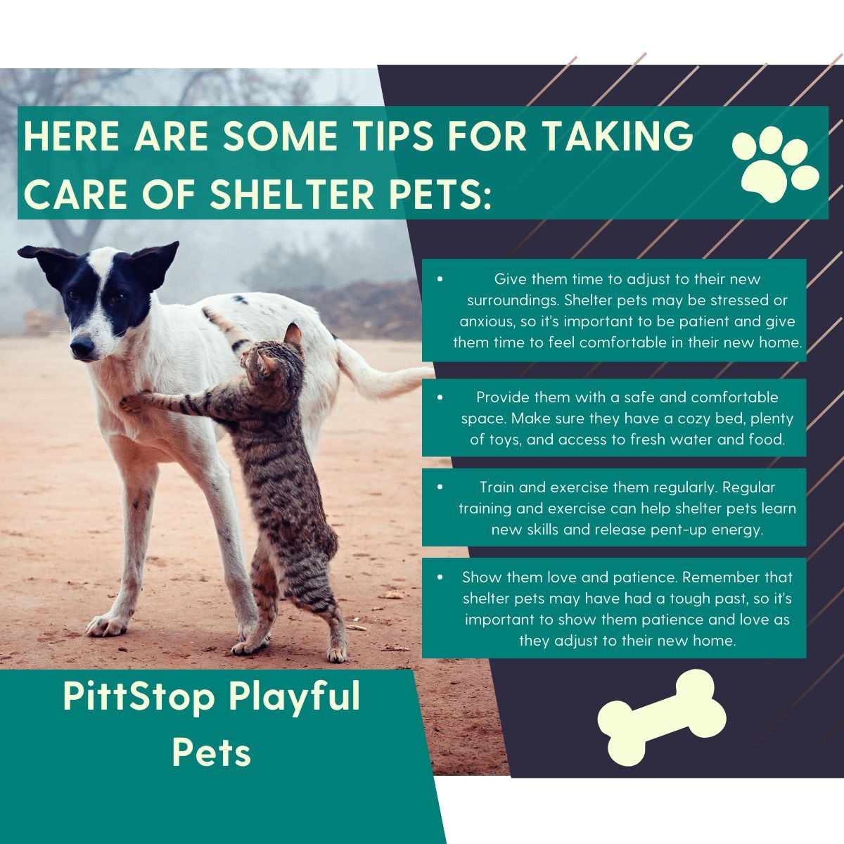 🐾 Welcome your new Shelter Pet into their new home... Together, let's give these rescues the warmest welcome! 🏡❤️ #ShelterPet #FurEverHome #RescueLove #PetAdoption #FurryFriend #HappyTails #PittStopPlayfulPets

pittstopplayfulpets.com