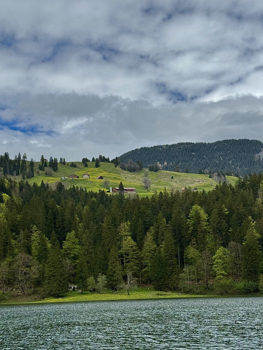 nnatt__'s tweet photo. Obersee, Glarus 🇨🇭 ทะเลสาปบนเขาที่สูง 982 เมตรจากระดับน้ำทะเล calm มาก ไม่ touristic เลยเพราะ public transport เข้าไม่ถึง แต่ขับรถมาเองยังลำบากเพราะทางขึ้นเขาแคบมาก 🥲 https://t.co/rq4rcXpqcV