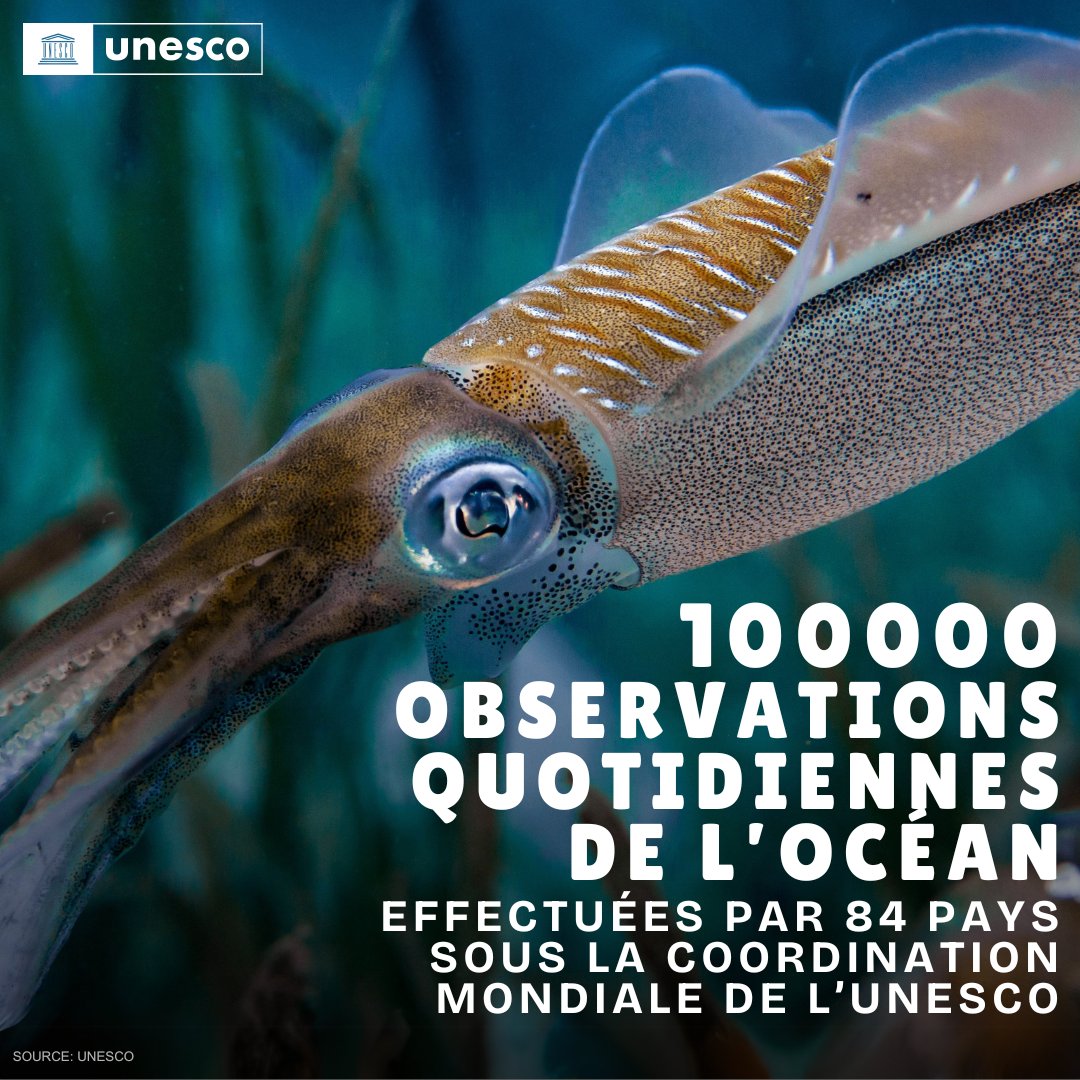 De la lutte contre le changement climatique à la préservation des écosystèmes marins, il est indispensable de disposer de données précises sur notre océan si nous voulons prendre des décisions éclairées.

unesco.org/fr/ocean #SauverNosOcéans