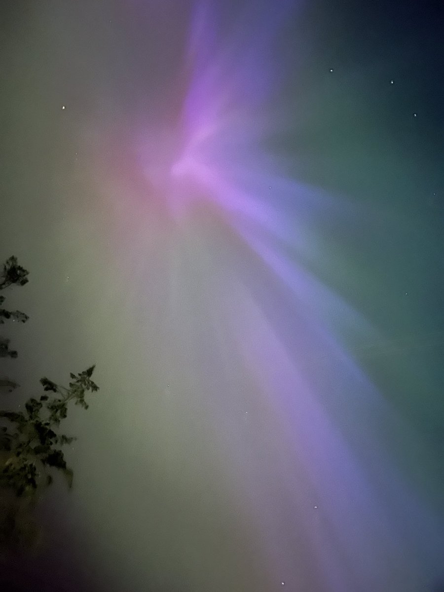 Last night was wild!! I never dreamed I would see the #aroraborealis from Ireland #NorthernLights