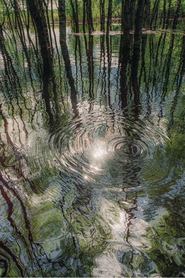 Konsta Punkka (born 1994 in Helsinki, Finland, nature photographer), 'Flooded Forest' (photograph)