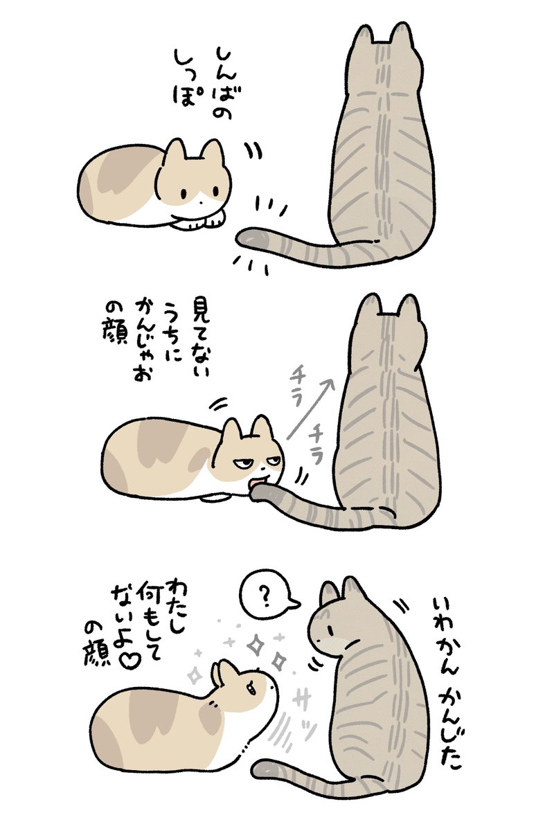 ねこの「自分なにも悪いことしてないよ✨」とすっとぼける演技が好きすぎる絵です (1/2) 