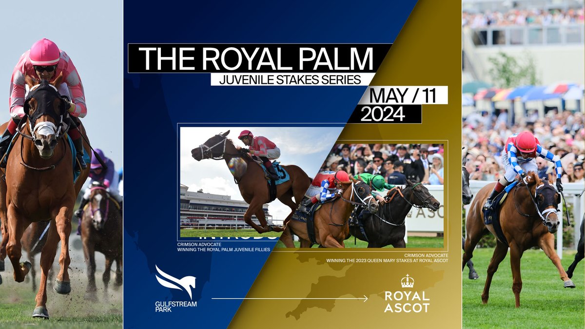 Today, we are celebrating the second running of the Royal Palm Juvenile Series, providing the winners with an automatic berth in one of six juvenile races during the prestigious Royal @Ascot Meet in England. #GulfstreamPark #RoyalPalmMeet