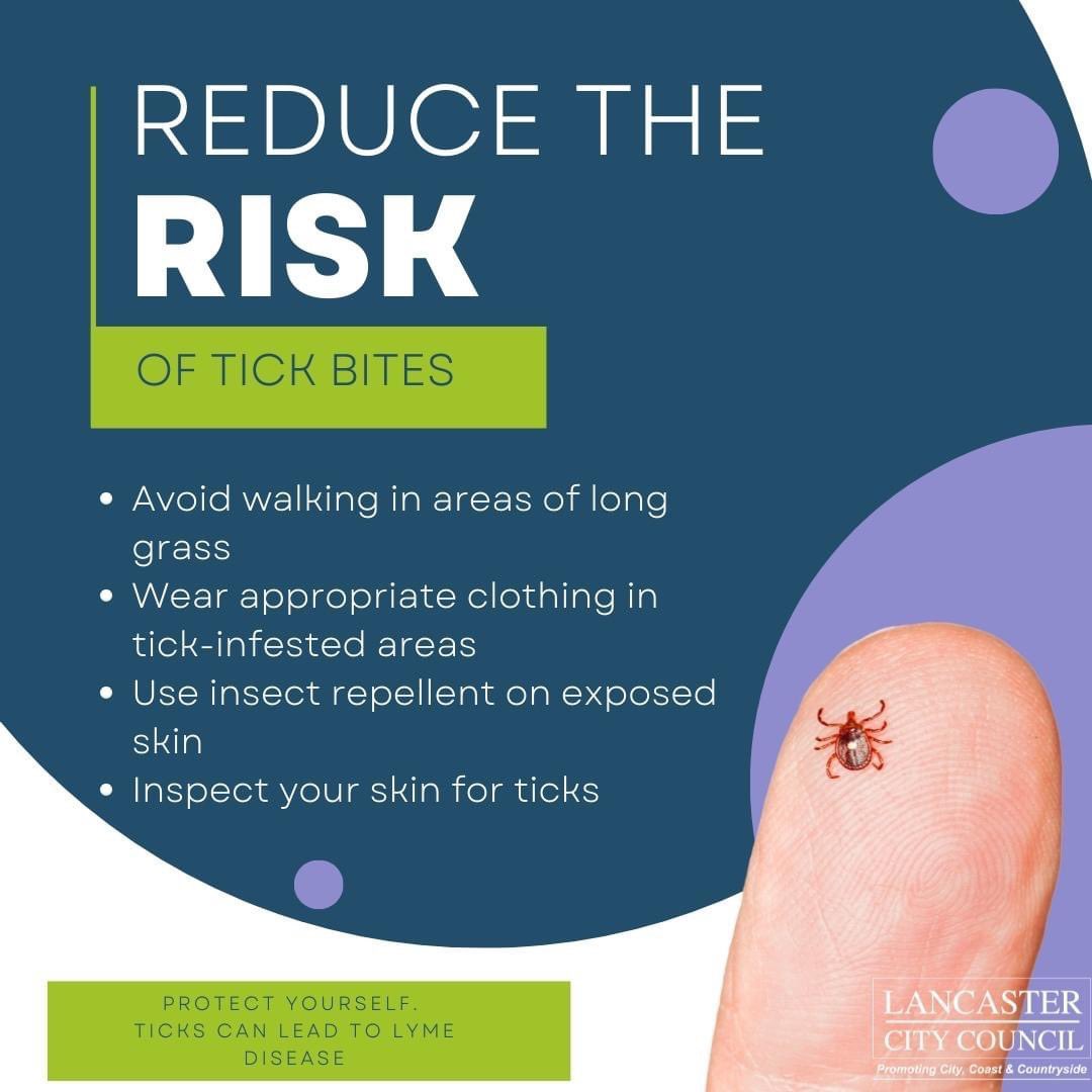 SilverSapling (@saplingsilver) on Twitter photo 