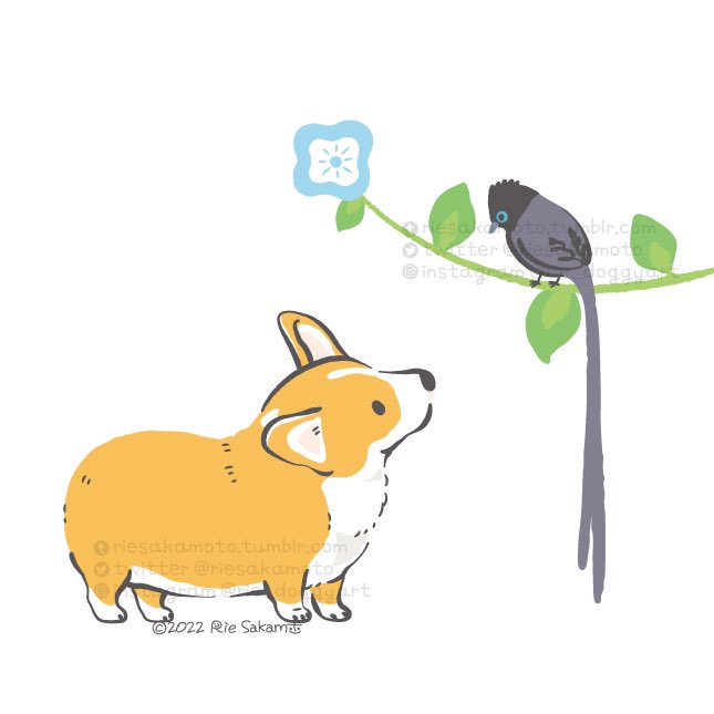 「dog twitter username」 illustration images(Latest)