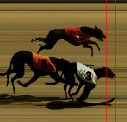 MonmoreRacing's tweet photo. Saturday 11th May AM - Race 6
Photofinish📸
Winner Trap 3 - Sacred Heart🥇
Second Trap 1 - Kelseys Princess🥈
Third Trap 5 - Trubbys Star🥉
Winning Time = 29.66⏰ https://t.co/SRTqhBSBby