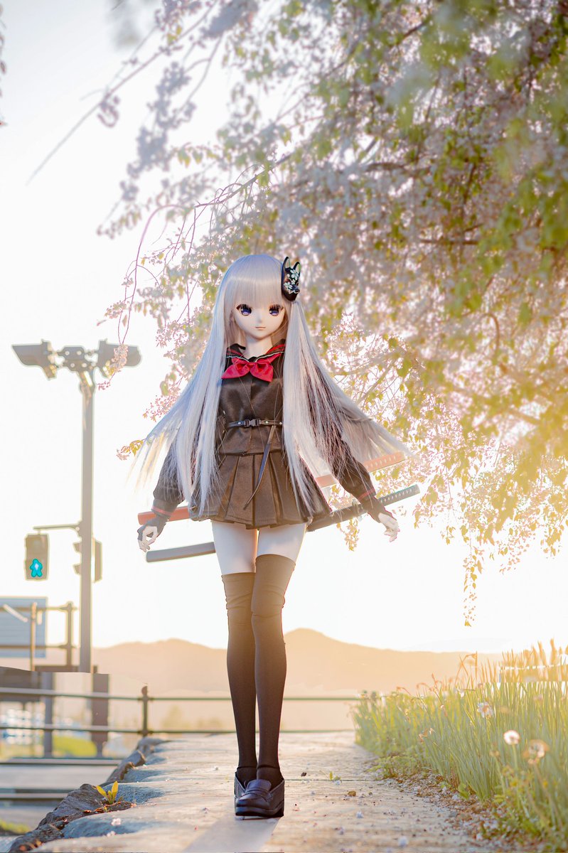 JohnAng32460836's tweet image. 黄昏の枝垂れ桜
(明日の名古屋イドルに参加予定です)