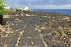 Grooves, Rails

⏰ 8,090 BCE - 880 BCE
📌 Found in  Pico Island, Portugal

#neolitic #chalcolitic