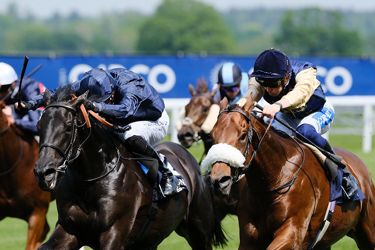 🅦🅘🅝🅝🅔🅡 - We had an excellent day yesterday with Arctic Thunder battling Accumulate to the post, coming out on top for the @AndrewBalding2 team in the Class 2 7f Handicap at @Ascot. A huge well done to jockey @davidprobert9 and congratulations to his owners!