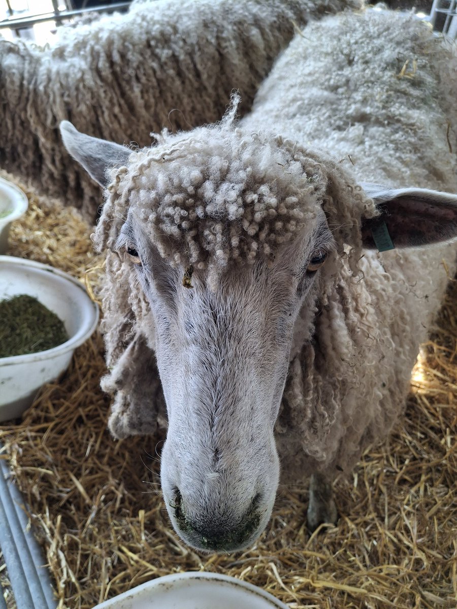 CandiaMcKormack's tweet image. #EricFest #EricFreeman