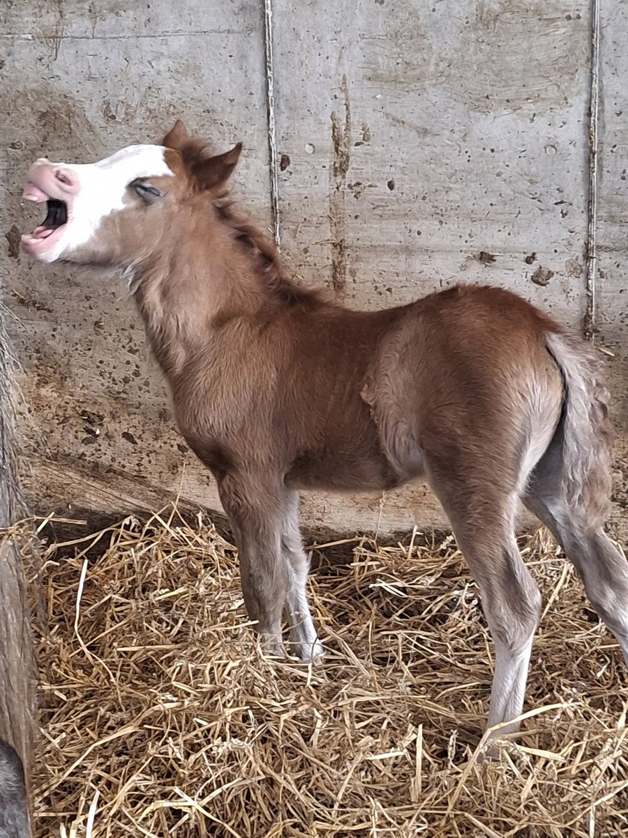 CandiaMcKormack's tweet image. #EricFest #EricFreeman