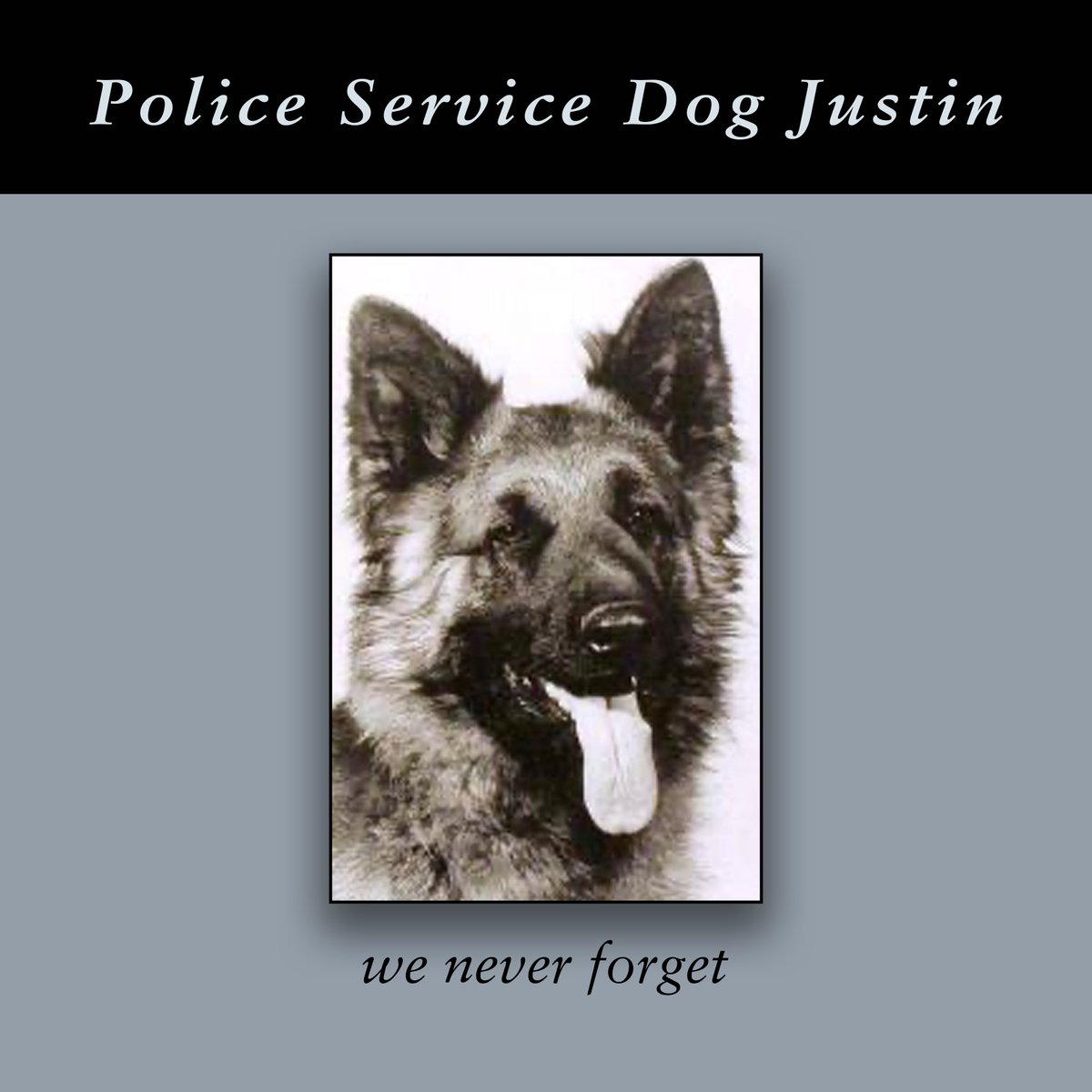 We #NeverForget #VPD Police Service Dog 'Justin' who was stabbed & killed 48 yrs ago today while apprehending an armed suspect with his partner Cst. Gary Foster (who was also stabbed) - they were responding to a gun call at 2nd & Garden #EastVan @VancouverPD #PoliceK9 @VPDCanine