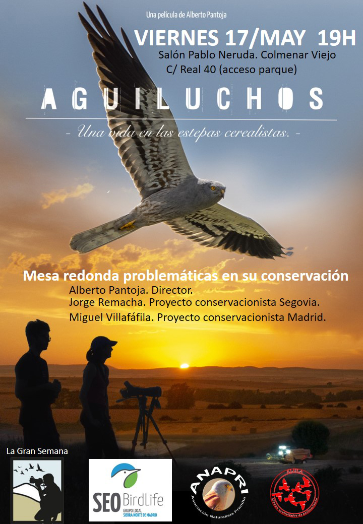 Una de las actividades de #LaGranSemana será la proyección de la película 'Aguiluchos', seguida de una mesa redonda sobre los problemas de conservación de esta rapaz, con la participación de su director Alberto Pantoja. 17 de mayo, #ColmenarViejo (Madrid) lagransemana.org/actividades-20…