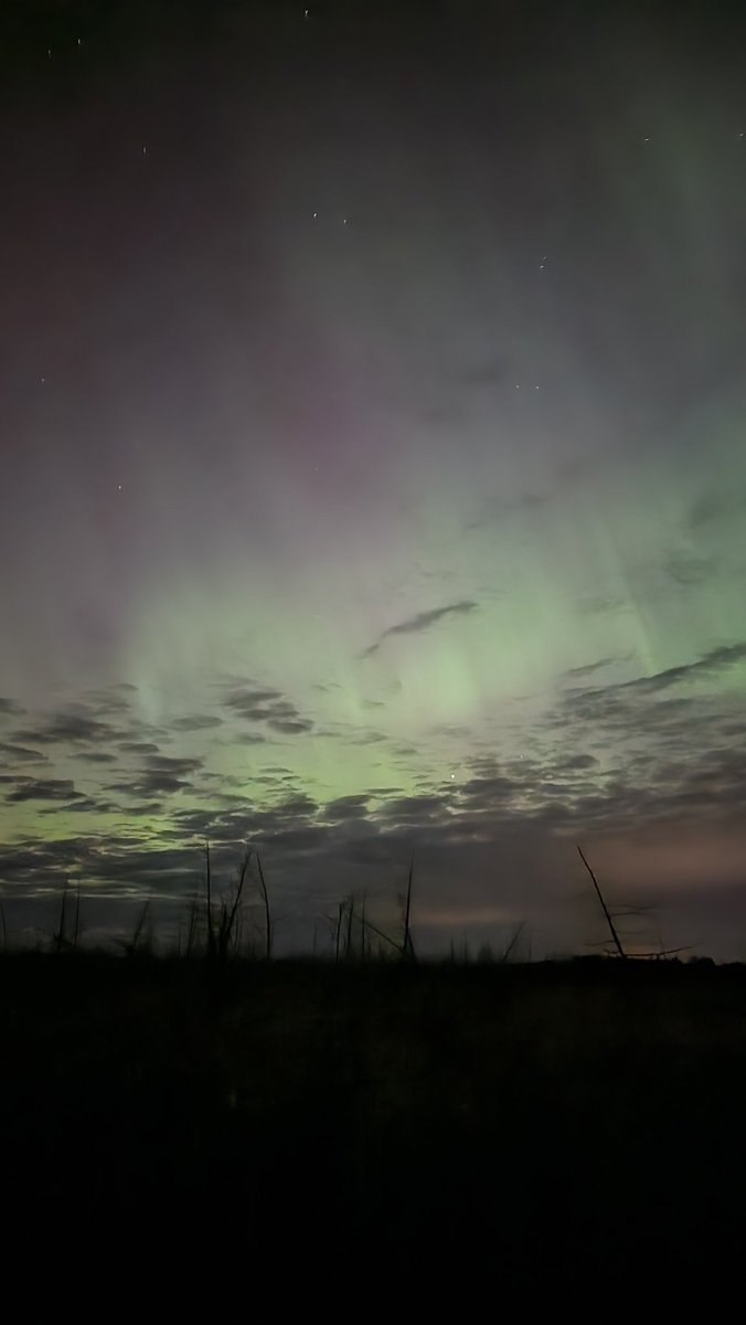 PBakovicF's tweet photo. Look up to the sky. The first dance of many. #Auroraborealis #solarstorm #auroraontario https://t.co/WU5Qn8TdYp