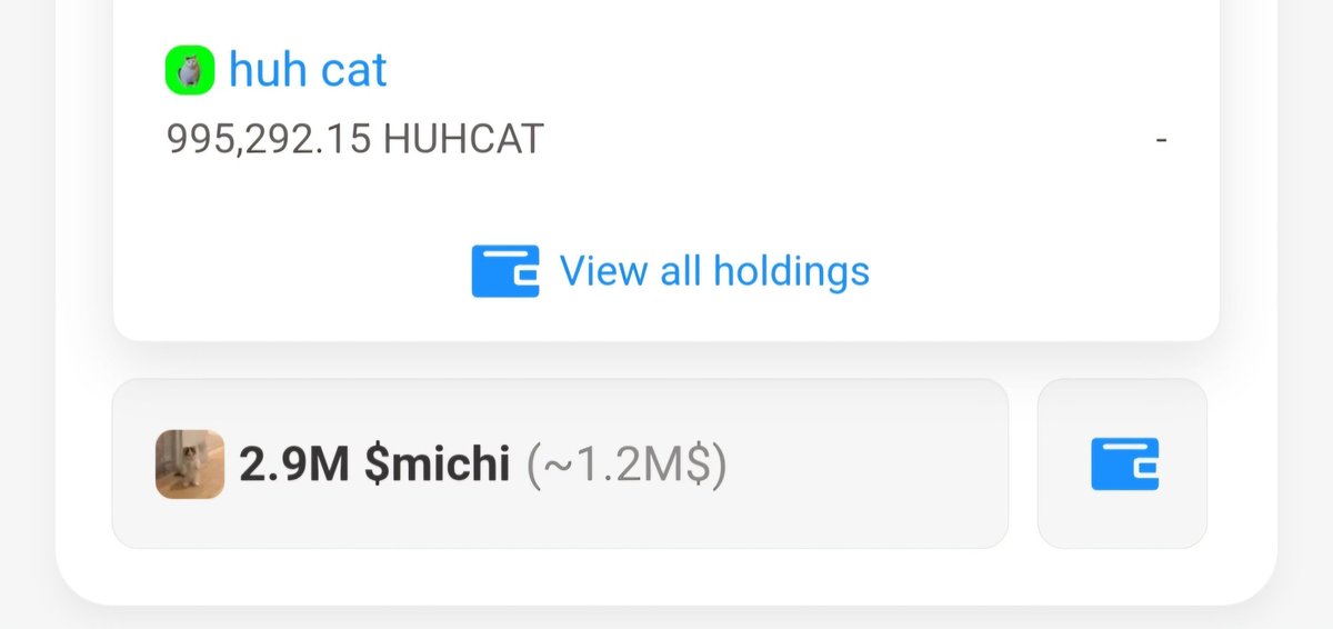 $HUHCAT finally got $MICHI Whales attention 😎 look who just bought $HUHCAT @HUHCATS0L @slingoor @bunnycryptoCT