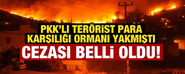 🔥 Bodrum'da para karşılığı orman yakan PKK'lı teröristin cezası belli oldu!

🔗 buff.ly/3ygbrNR