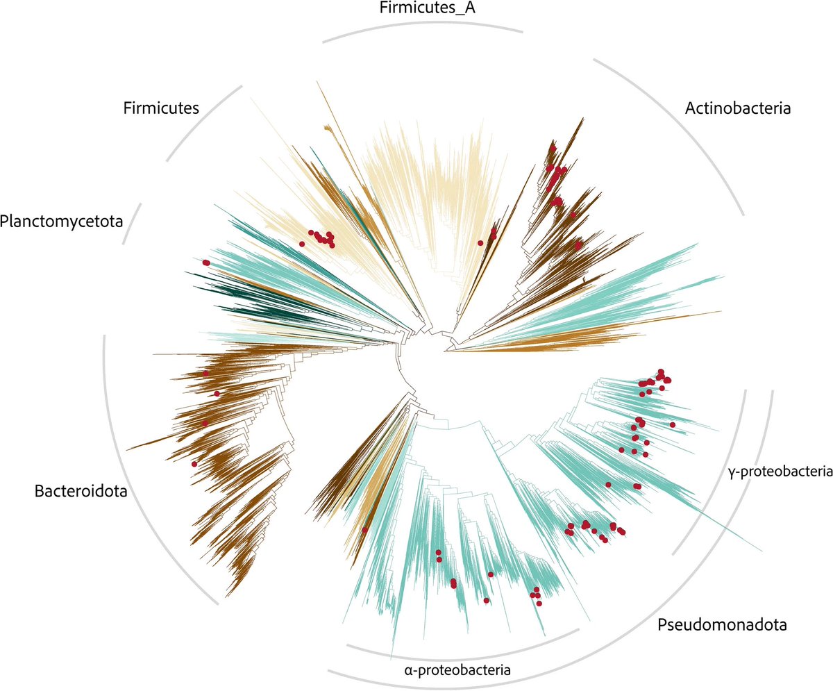 Rodneyridley7's tweet photo. Why plastics and microbes?
An overview post for the recently released @SciReports article

⁃Although plastics are manmade, their chemistry is (fairly) similar to natural biopolymers in wood or beeswax 🪵
(1/N) https://t.co/AZVEP9yQIJ