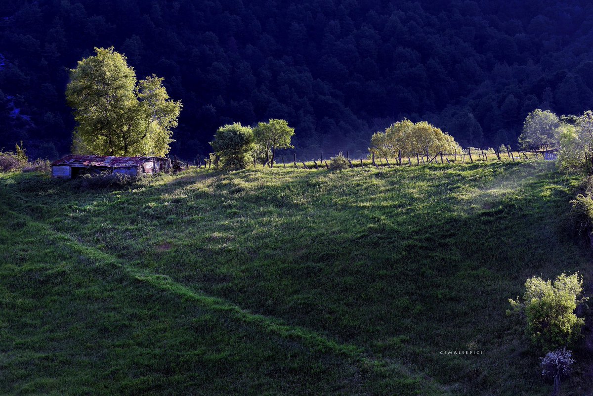 Uzakların gelmesini beklemek Ve adım atmaktan korkmak Kronik rahatsızlığımız ! #PHOTOS #artphoto #capture #cmlspc #cemalsepici #BİGA #biga #natural #NatureBeautiful #landscape #landscapephotography #NatureBeauty #naturelovers #NaturePhotograhpy