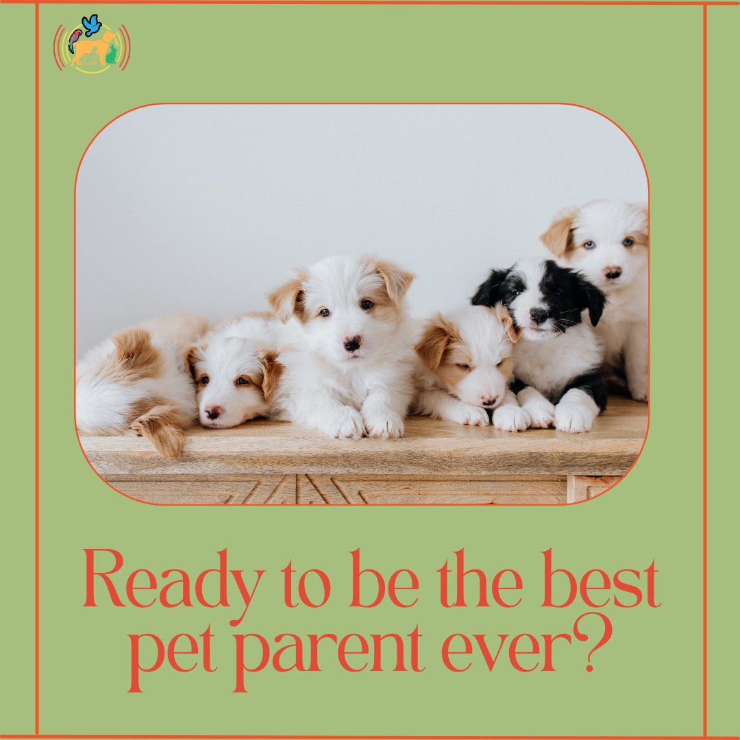 TailsBeaksFeets's tweet image. Your furry friend deserves the best, and that&apos;s what we&apos;re here to provide! With Tails, Beaks and Feets, you&apos;ll find everything you need to keep your pet happy, healthy and safe.
#BestForPets #TailWaggingHappiness #TailsBeaksAndFeets