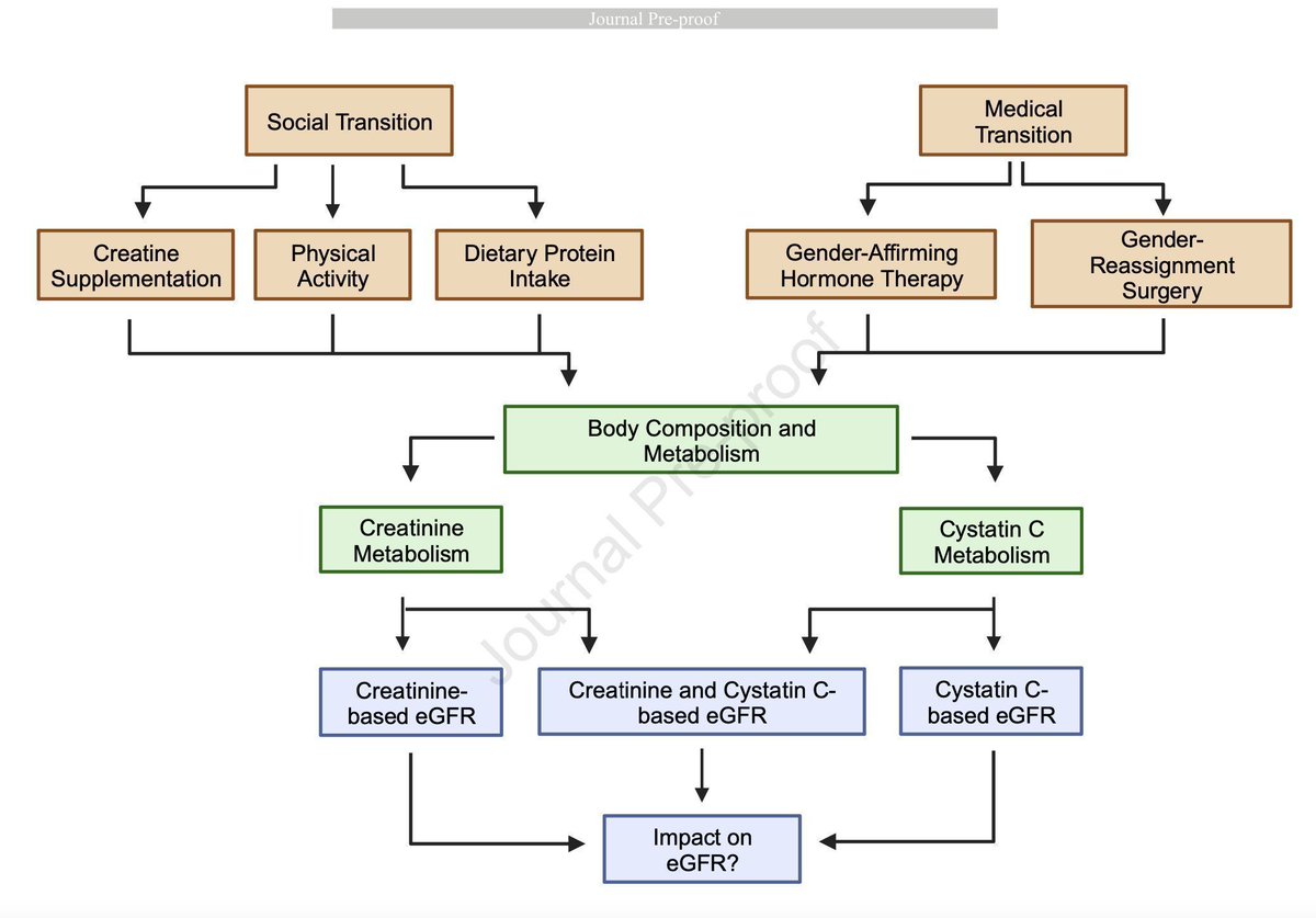 AJKD (@ajkdonline) on Twitter photo A Holistic Framework for the Evaluation of Kidney Function in a Gender-Diverse Landscape
buff.ly/3TvBw2x (FREE temporarily)
<a href="/keila_turino/">Keila Turino Miranda</a> <a href="/turbo_dc/">David Collister</a> @SofiaAhmedMD @ccolettep <a href="/sylviaerosas/">Sylvia Rosas,MD,MSCE</a> <a href="/Saad_Nathalie/">Nathalie Saad</a> <a href="/UCalgaryMed/">UCalgaryMedicine</a> <a href="/UAlberta_FoMD/">UAlberta Med & Dent</a> A Holistic Framework for the Evaluation of Kidney Function in a Gender-Diverse Landscape
buff.ly/3TvBw2x (FREE temporarily)
<a href="/keila_turino/">Keila Turino Miranda</a> <a href="/turbo_dc/">David Collister</a> @SofiaAhmedMD @ccolettep <a href="/sylviaerosas/">Sylvia Rosas,MD,MSCE</a> <a href="/Saad_Nathalie/">Nathalie Saad</a> <a href="/UCalgaryMed/">UCalgaryMedicine</a> <a href="/UAlberta_FoMD/">UAlberta Med & Dent</a>