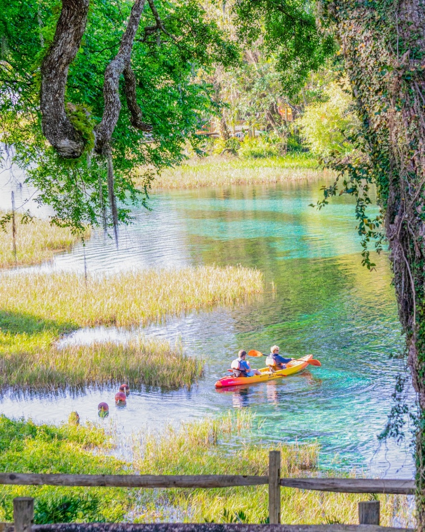 Less than two hours from Tampa, you can explore Rainbow Springs, one of Florida's largest springs! It's the perfect spot to swim, snorkel, tube, fish, canoe, picnic or stroll the gardens. #VisitFlorida 📸IG: instagram.com/rainbowsprings… 📍: Rainbow Springs State Park