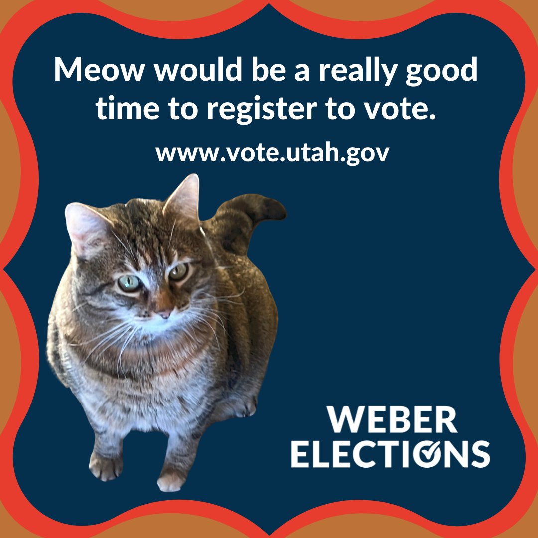 Meow is the purrfect time to register to vote: vote.utah.gov #catmemes #catsofpolisci #weberelections #caturday #utahvotesbymail #votebymail #voterregistration #webercounty #cats #utahelections #electionsutah