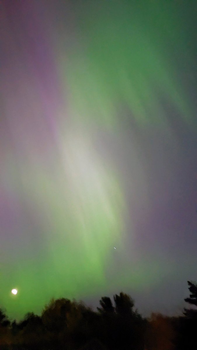 It was surreal! From the backyard in the middle of west Seattle. #Auroraborealis <a href="/westseattleblog/">West Seattle Blog</a>