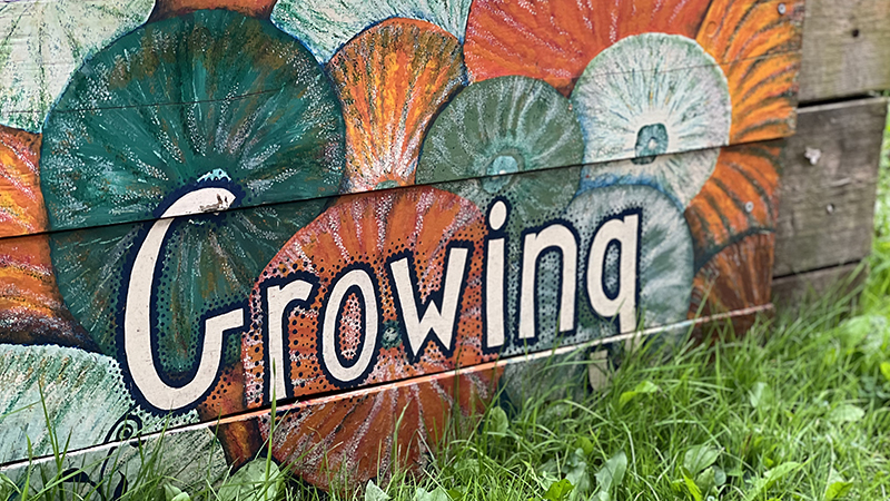 *Tell Us What You Think* Please spare less than 10 minutes to help us gauge how we can be of most benefit to the farming community & the wider agroecology community. Completing the survey gives you the opportunity to win a case of @StroudBrewery beer! forms.office.com/e/LqzL2ZejAG