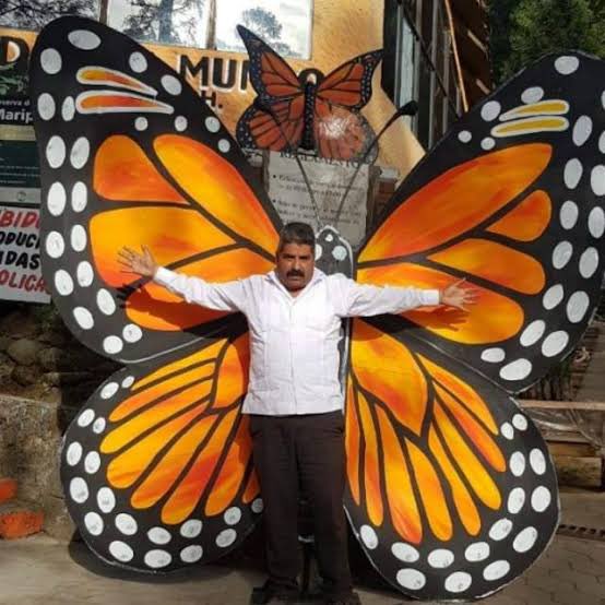Ayer vi”El Guardián de las Monarcas”, el documental sobre Homero Gómez, un ambientalista preocupado por la mariposa Monarca y los bosques de Michoacán, y neta terminé enojado, triste y desolado.