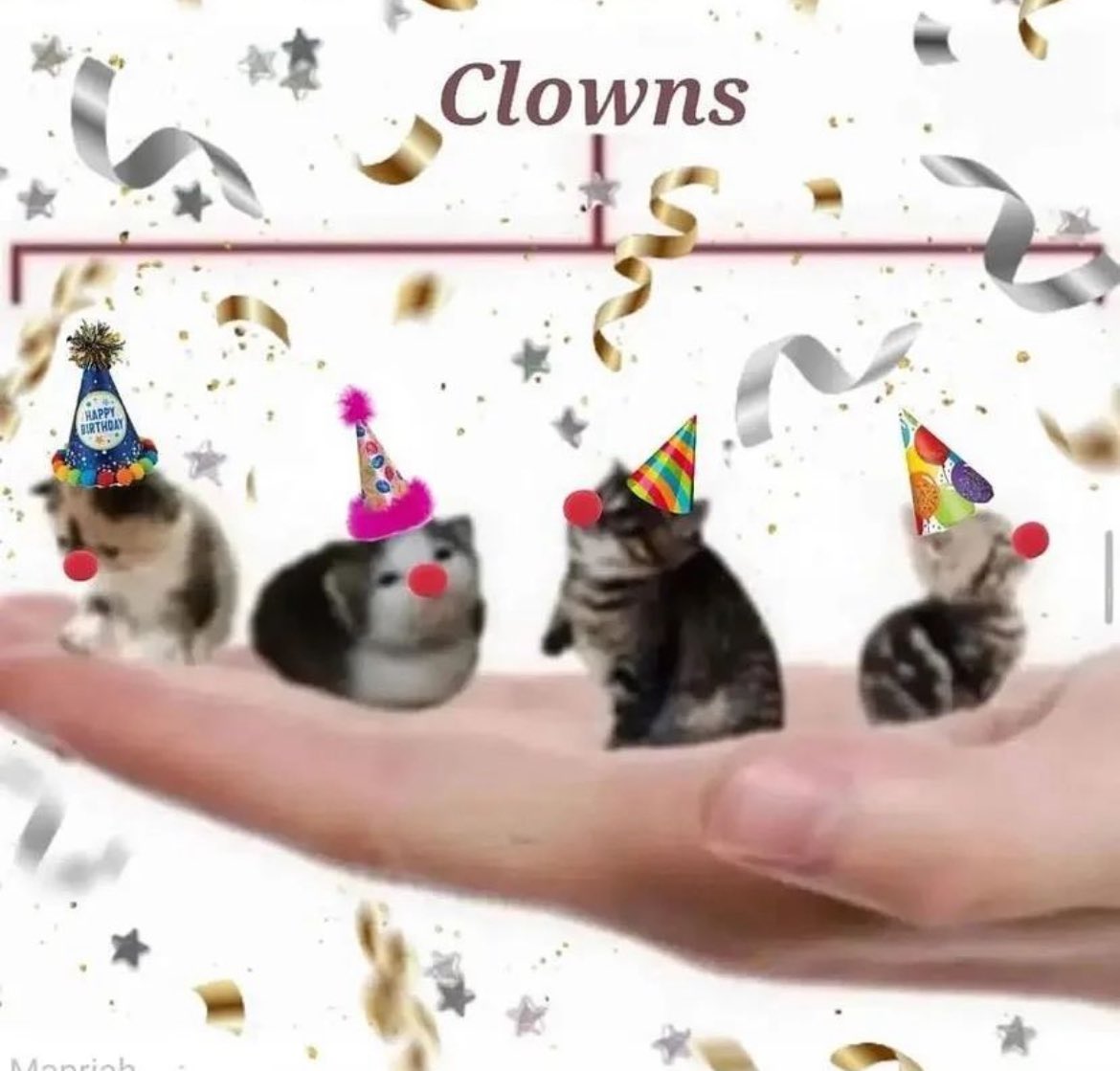 PunchingCat's tweet image. me and the gang