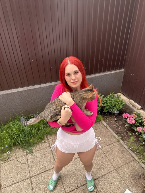 4 pic. Meow!??? https://t.co/N8CKoW3Ntp